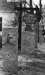 Thumbnail bb1061.jpg 