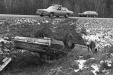 Thumbnail bb977.jpg 