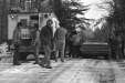 Thumbnail bb981.jpg 