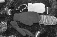 Thumbnail bb1534.jpg 