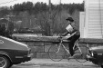 Thumbnail bb1564.jpg 