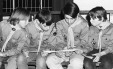 Thumbnail bb1310.jpg 