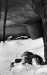 Thumbnail bb1305.jpg 