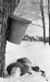 Thumbnail bb1321.jpg 