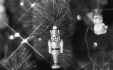 Thumbnail bb1136.jpg 