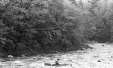 Thumbnail bb1915.jpg 