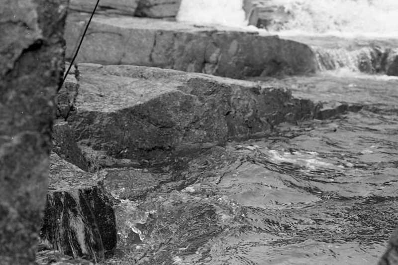 Scaled image bbe081.jpg 