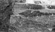 Thumbnail bbe080.jpg 