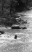 Thumbnail bbe046.jpg 