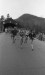 Thumbnail bbe102.jpg 