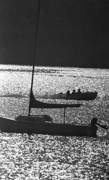 Scaled image bbe284.jpg 