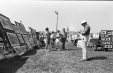 Thumbnail bbe431.jpg 