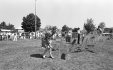 Thumbnail bbe436.jpg 