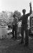 Thumbnail bbe437.jpg 