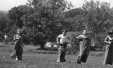 Thumbnail bbe293.jpg 