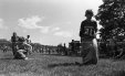Thumbnail bbe454.jpg 