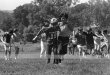 Thumbnail bbe562.jpg 