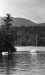 Thumbnail bbe491.jpg 