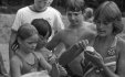 Thumbnail bbe530.jpg 