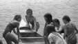 Thumbnail bbe537.jpg 