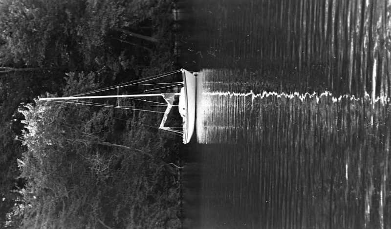 Scaled image bbe483.jpg 