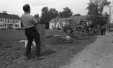 Thumbnail bbe183.jpg 