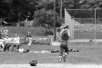 Thumbnail bb253.jpg 