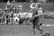 Thumbnail bb254.jpg 