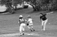 Thumbnail bb263.jpg 