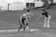 Thumbnail bb338.jpg 