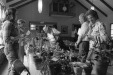 Thumbnail bb309.jpg 