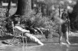 Thumbnail bb354.jpg 