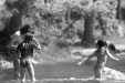 Thumbnail bb358.jpg 