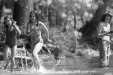 Thumbnail bb359.jpg 