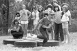 Thumbnail bb202.jpg 