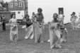 Thumbnail bb222.jpg 