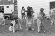 Thumbnail bb223.jpg 