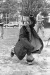 Thumbnail bb225.jpg 