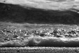 Thumbnail scan174.jpg 