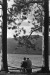 Thumbnail scan185.jpg 