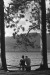 Thumbnail scan186.jpg 