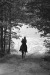 Thumbnail scan198.jpg 