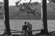 Thumbnail scan199.jpg 