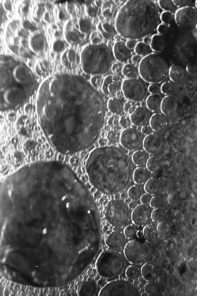 Scaled image scan285.jpg 