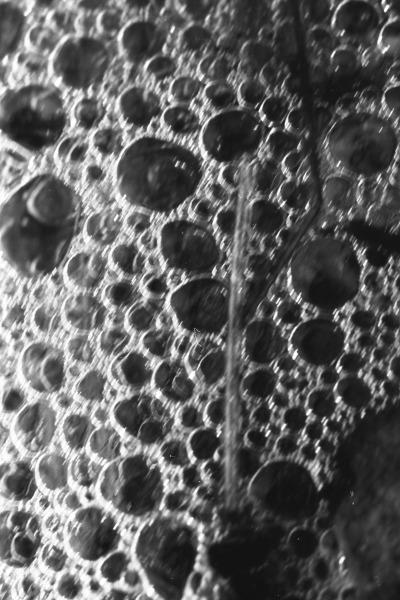 Scaled image scan286.jpg 