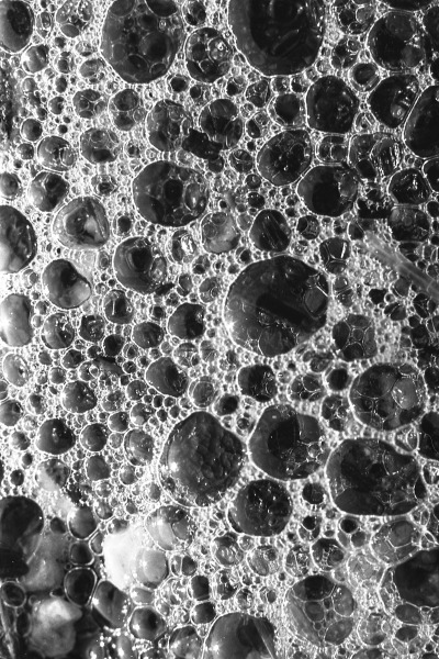 Scaled image scan295.jpg 