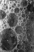 Thumbnail scan285.jpg 