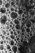 Thumbnail scan286.jpg 