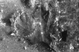 Thumbnail scan301.jpg 
