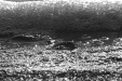 Thumbnail scan303.jpg 